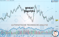 WHEAT - Dagelijks