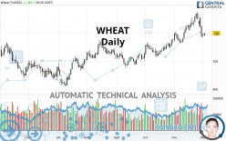 WHEAT - Diario