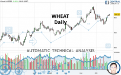 WHEAT - Daily