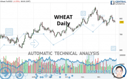 WHEAT - Daily