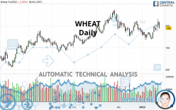 WHEAT - Diario