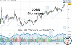 CORN - Dagelijks