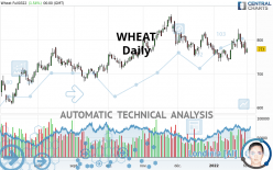 WHEAT - Giornaliero