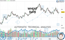 WHEAT - Daily