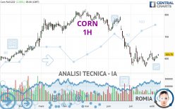 CORN - 1H