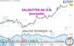 SALZGITTER AG O.N. - Journalier