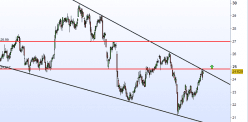 EDF - Daily