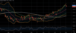 HOME DEPOT INC. THE - Daily