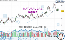 NATURAL GAS - Täglich