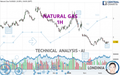 NATURAL GAS - 1 uur