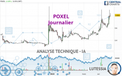 POXEL - Daily