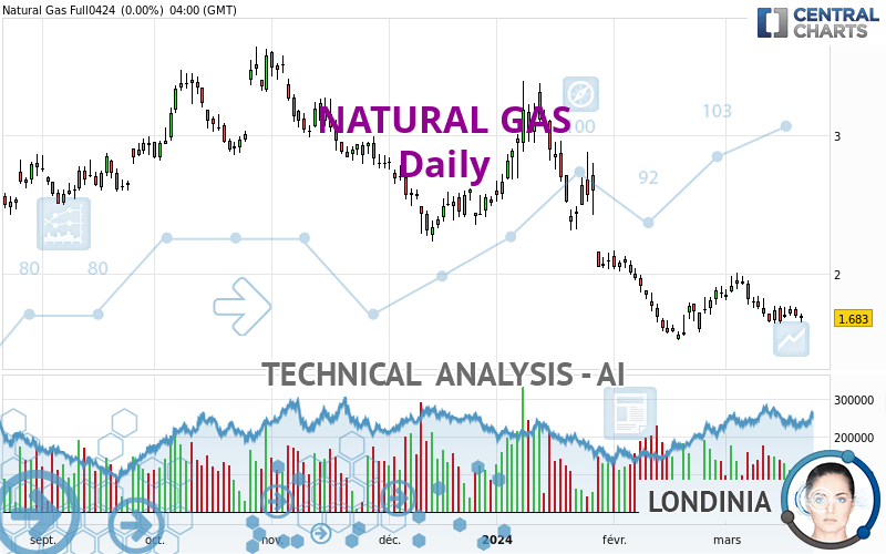 NATURAL GAS - Dagelijks