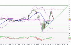 NETSCOUT SYSTEMS INC. - Diario