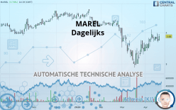 MAREL - Diario