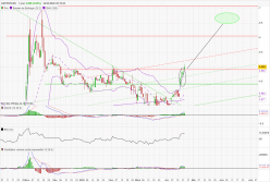 GREENYARD - Diario