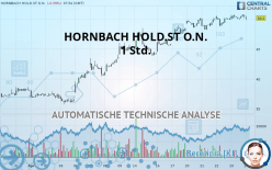 HORNBACH HOLD.ST O.N. - 1 uur