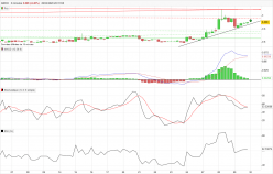 VEOM GROUP - 2 Std.