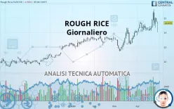 ROUGH RICE - Daily