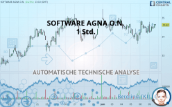 SOFTWARE AGNA O.N. - 1 Std.