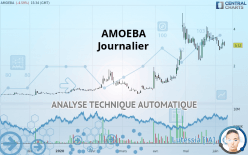 AMOEBA - Journalier