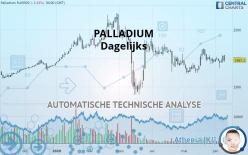 PALLADIUM - Dagelijks