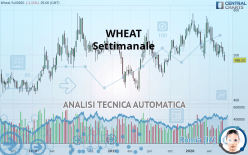 WHEAT - Settimanale