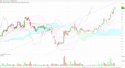 MINT - Daily