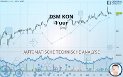 DSM KON - 1H
