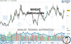 WHEAT - Settimanale