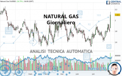 NATURAL GAS - Täglich