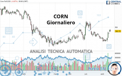 CORN - Diario