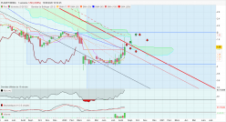 EROLD - Semanal