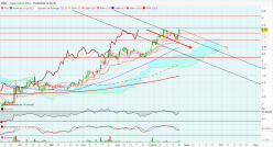 MINT - Diario