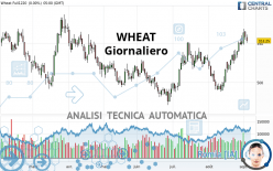 WHEAT - Giornaliero