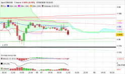 EUR/USD - 1 Std.