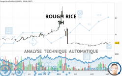 ROUGH RICE - 1H