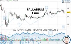 PALLADIUM - 1 uur