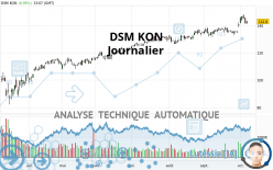 DSM KON - Journalier