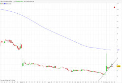 DBV TECHNOLOGIES - Daily