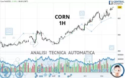 CORN - 1H
