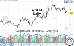 WHEAT - Daily
