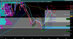 MND - Daily