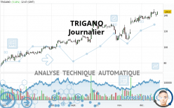 TRIGANO - Daily