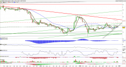 RIBER - Semanal