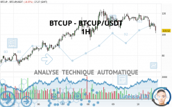 BTCUP - BTCUP/USDT - 1H