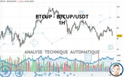 BTCUP - BTCUP/USDT - 1H