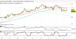 WTI CRUDE OIL - 1 Std.