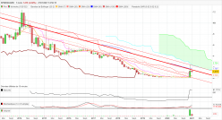 SPINEGUARD - Monthly