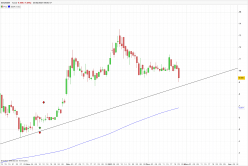 GAUSSIN - Diario