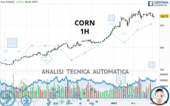 CORN - 1 uur